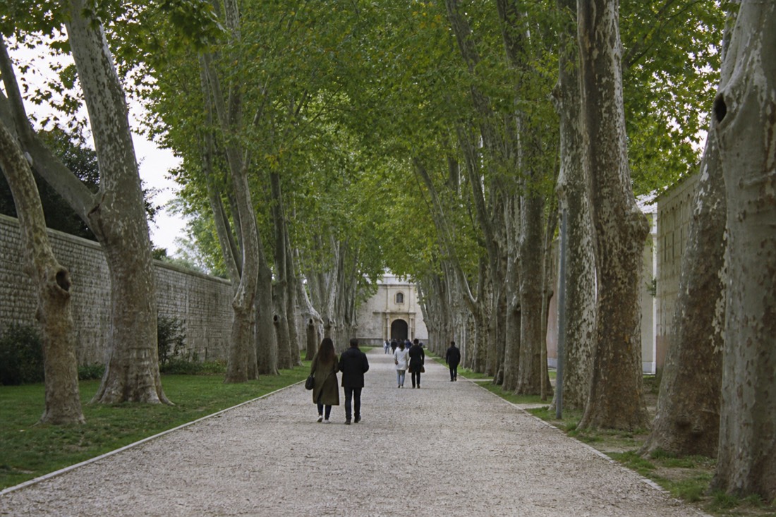 Tree-lined broad path of the first courtyard of Topkapi Palace toward a distant gate under soft light