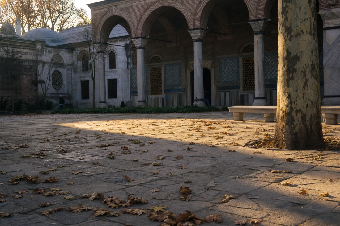 Autumn plane-tree leaves over a quiet Topkapı Palace courtyard in low afternoon sun